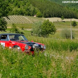 Rally Colline di Oltrepò 2014