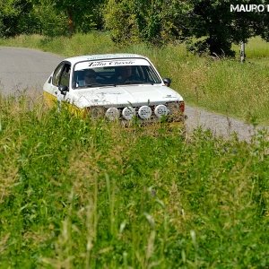 Rally Colline di Oltrepò 2014