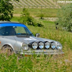 Rally Colline di Oltrepò 2014