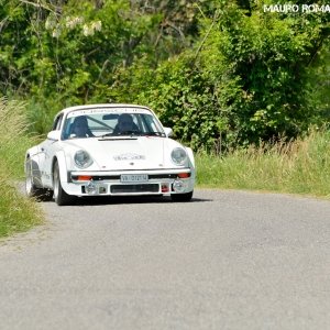 Rally Colline di Oltrepò 2014