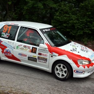 Rally Bellunese 2014