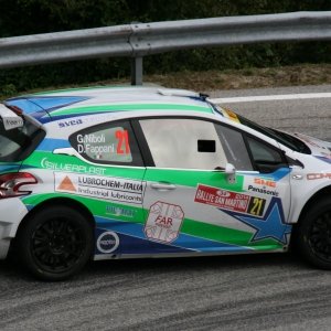 Rally San Martino 2014