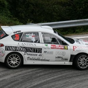 Rally San Martino 2014