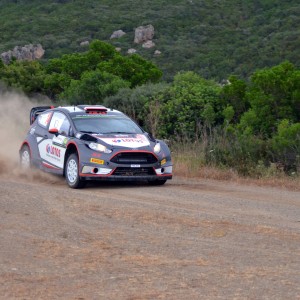 Rally Italia Sardegna 2015 by Carboni