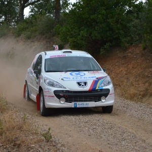 Rally Italia Sardegna 2015 by Carboni