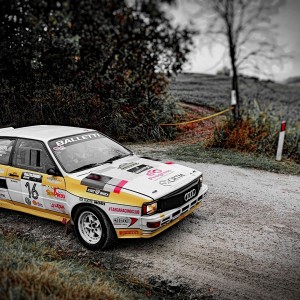 Rally Legend 2016